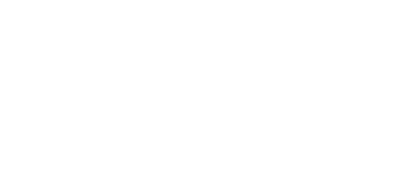 La Salle Italia Logo